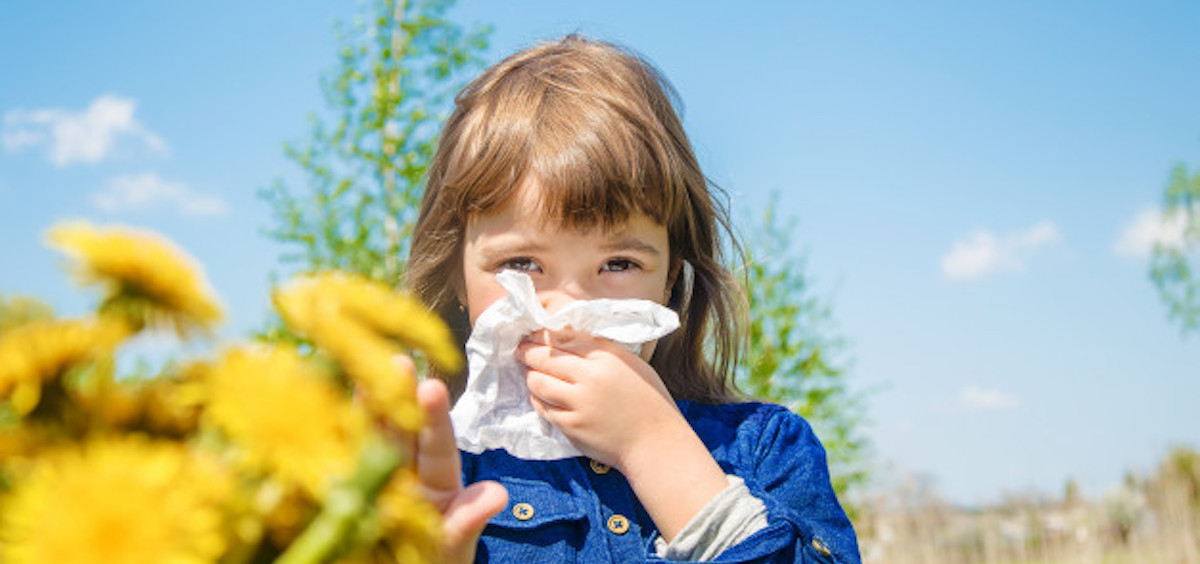 Советы пульмонолога КДКБ: что делать с детьми-аллергиками в период пыления